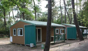 Chalet - Piscine - ccaibib